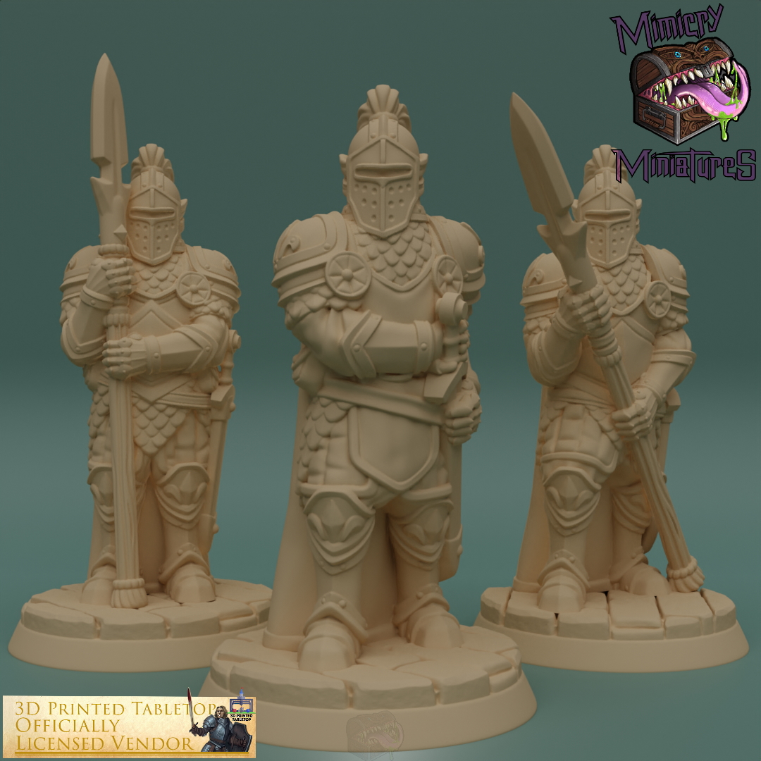 Royal Guards - The Lost Adventures by 3D Printed Tabletop image 0